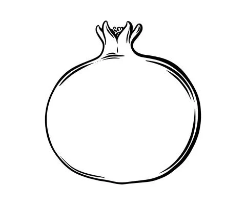 Pomegranate fruit side view. Colored exotic pomegranate fruit. Vector Illustrazione stock
