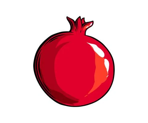Pomegranate fruit side view. Colored exotic pomegranate fruit. Vector Illustrazione stock