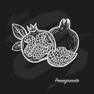 Pomegranate fruit in the style of line drawing on a black board Stock Illustration