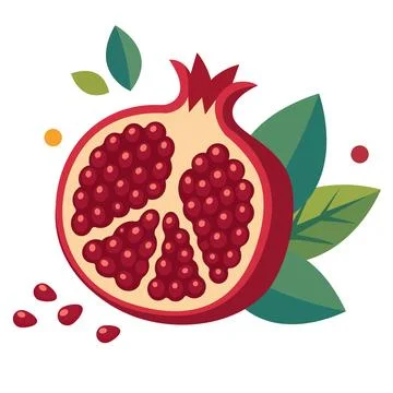 Pomegranate Half with Seeds Flat Vector Illustration Illustrazione stock