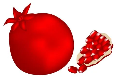 Pomegranate Stock Illustration
