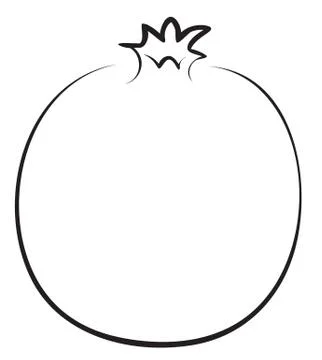 Pomegranate Illustrazione stock