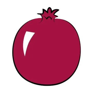 Pomegranate Stock Illustration
