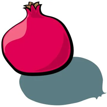 Pomegranate Stock Illustration