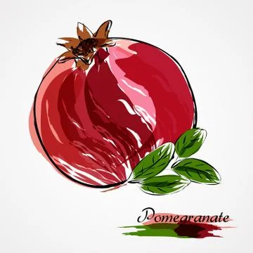 Pomegranate Stock Illustration