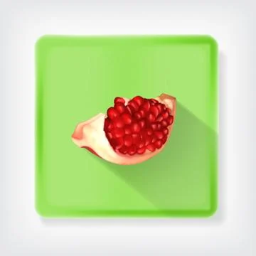 Pomegranate Stock Illustration