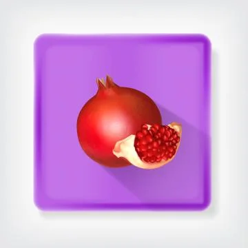 Pomegranate Stock Illustration
