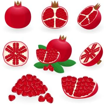 Pomegranate Stock Illustration