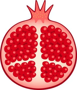 Pomegranate Ilustración de archivo