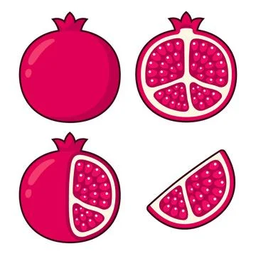 Pomegranate illustration set Иллюстрация