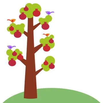Pomegranate large tree with a thick trunk, green leaves and ripe fruits, poul Stock Illustration