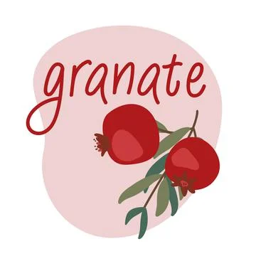 Pomegranate logo. Granate emblem. Vector garnet. Stock Illustration