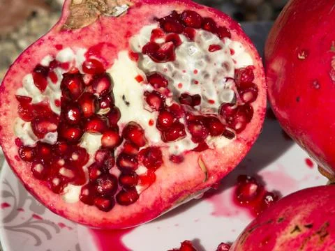 Pomegranate Stock Photos