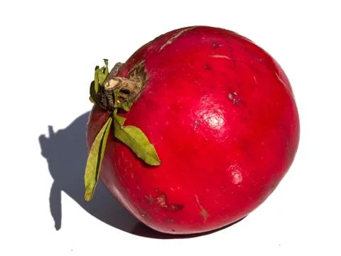 Pomegranate Stock Photos