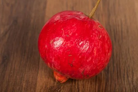 Pomegranate Stock Photos