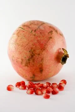 Pomegranate Foto stock