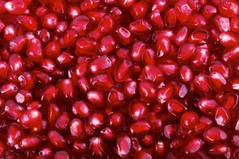 Pomegranate Foto stock
