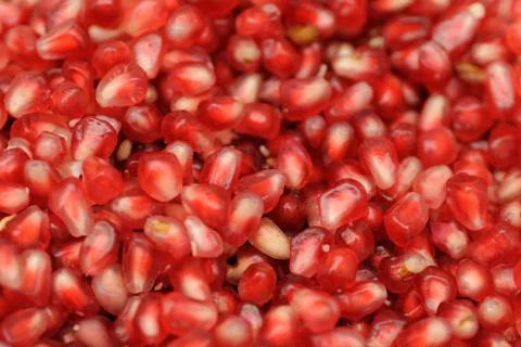 Pomegranate Stock Photos