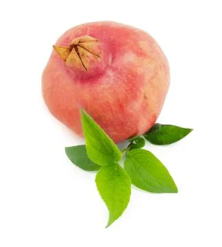 Pomegranate Stock Photos