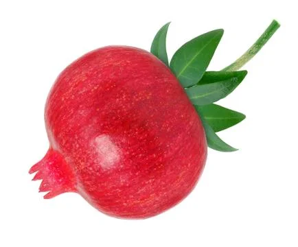 Pomegranate Foto stock