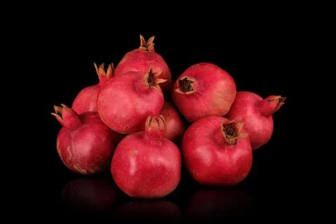Pomegranate 写真素材