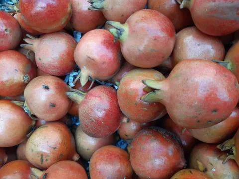 Pomegranate. Stock Photos