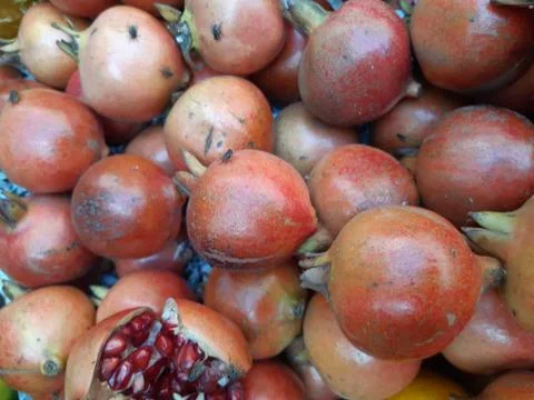 Pomegranate. Stock Photos