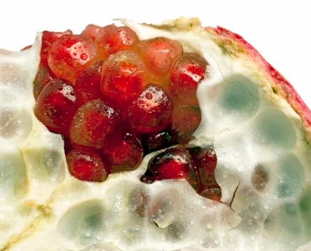 Pomegranate Stock Photos