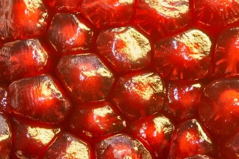 Pomegranate Stock Photos