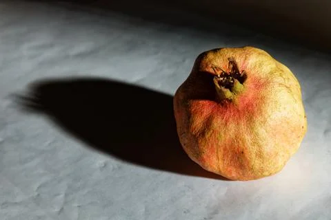 Pomegranate Stock Photos
