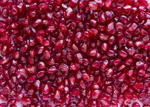 Pomegranate Foto stock