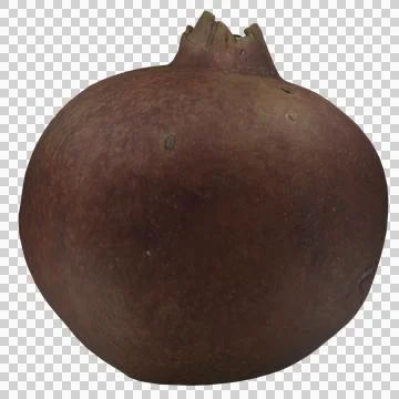 Pomegranate Stock Photos