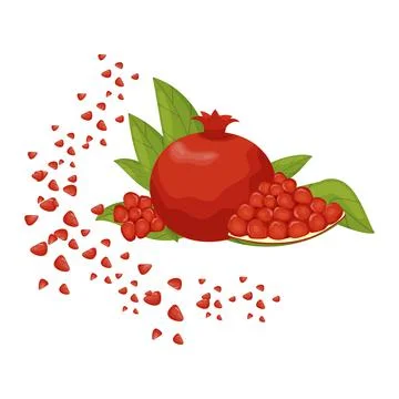 Pomegranate, pomegranate seeds. Flat vector illustration Stock Illustration