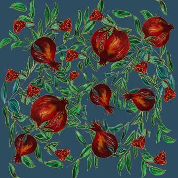 Pomegranate is a ripe red fruit and its flowers Stock Illustration
