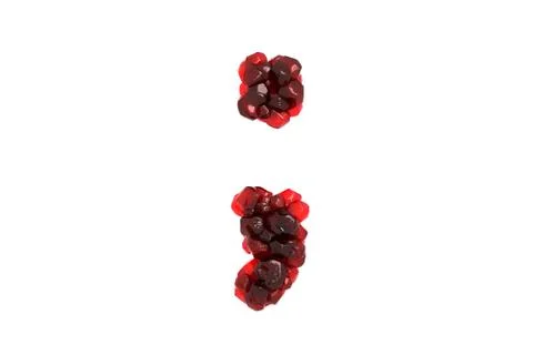 Pomegranate symbol ; on white background Stock Illustration