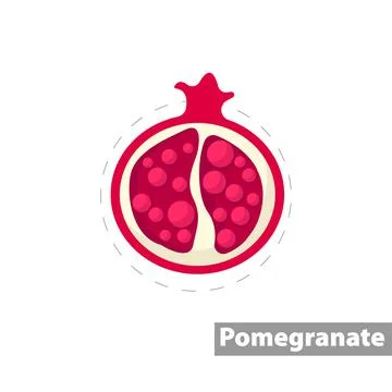 Pomegranate vector flat illustration icon Stock Illustration