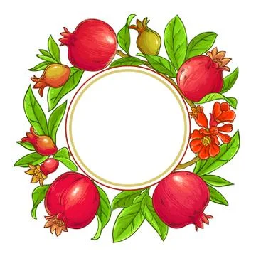Pomegranate vector frame Stock Illustration