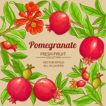 Pomegranate vector frame Stock Illustration
