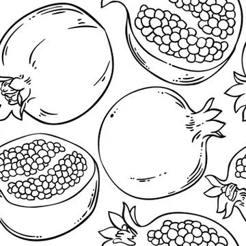 Pomegranate vector pattern Stock Illustration