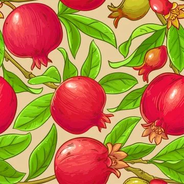 Pomegranate vector pattern Illustrazione stock