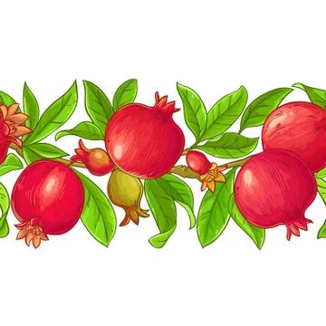 Pomegranate vector pattern Stock Illustration