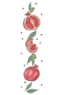 Pomegranate on white background Illustrazione stock