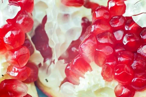 Pomegranate on a white background Stock Photos