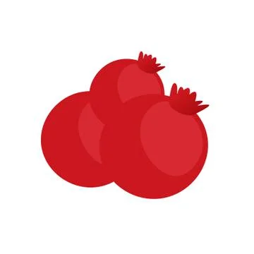 Pomegranate on white background. Vector illustration in trendy flat style. EPS Stockillustratie