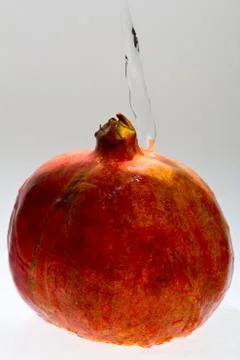 Pomegranate on white Stock Photos