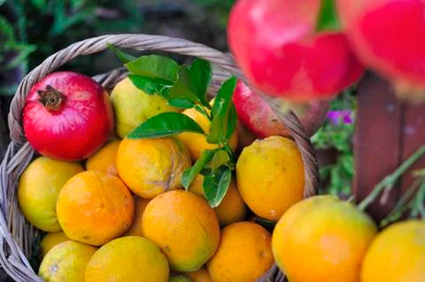 Pomegranates and oranges Stock Photos