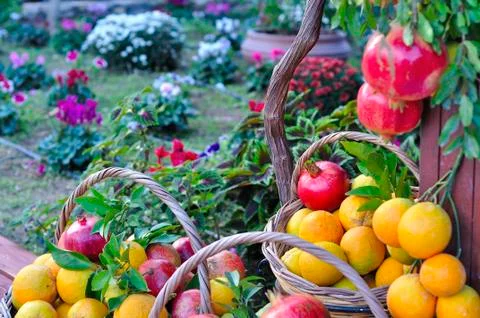 Pomegranates and oranges Stock Photos