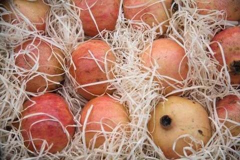 Pomegranates Stock Photos