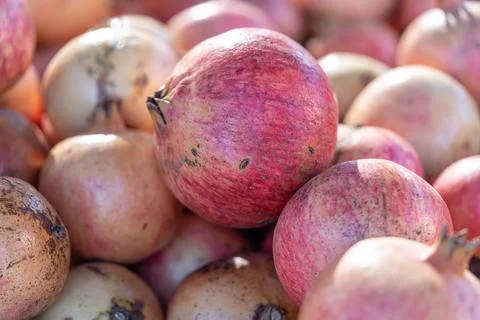 Pomegranates at Stall Stockfoto's