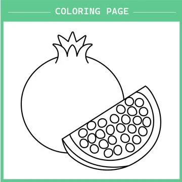 Pomegranates vector Stock Illustration